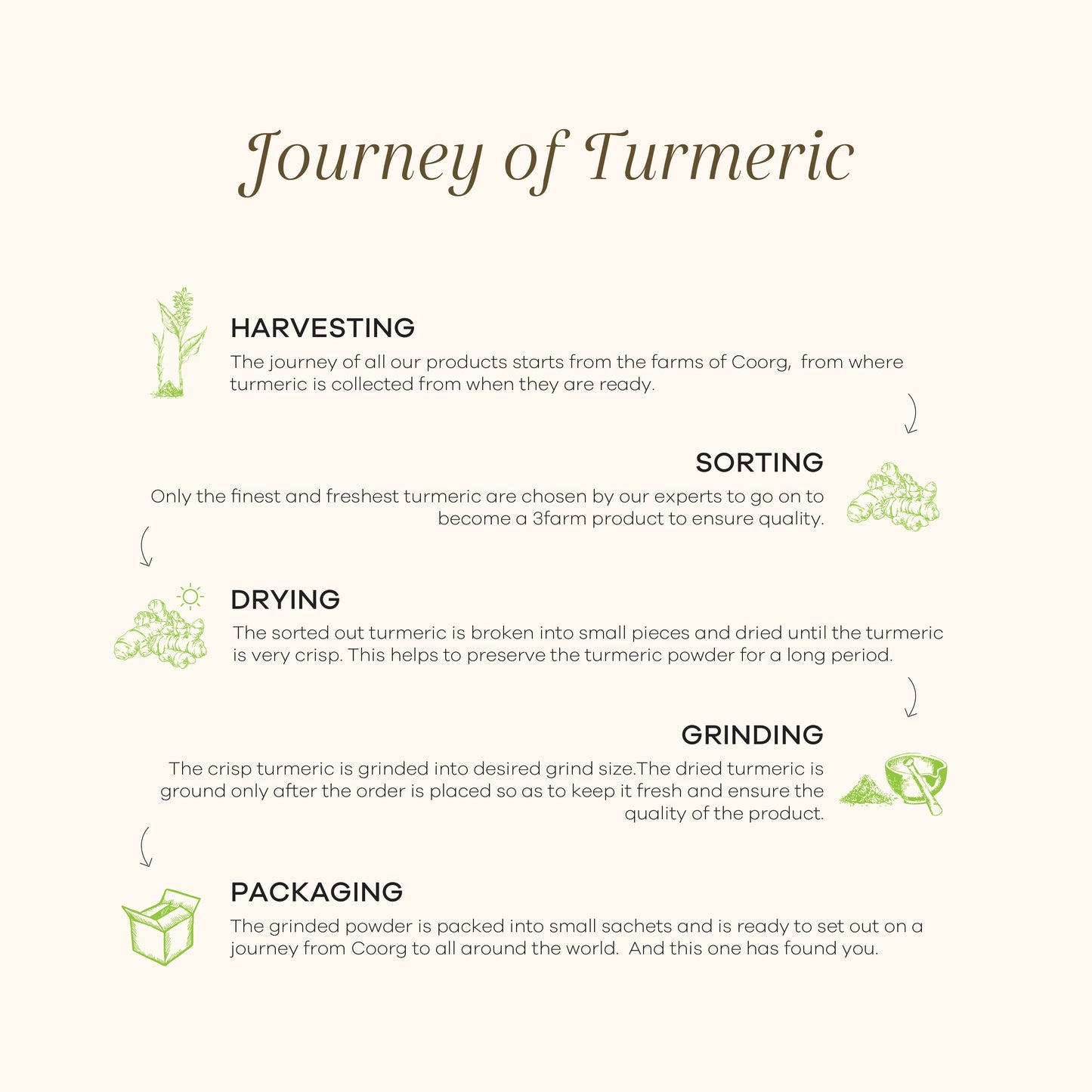 Roasted Turmeric Powder | Health Drink | Immunity Booster | 100% Organic (15 Sachets)
